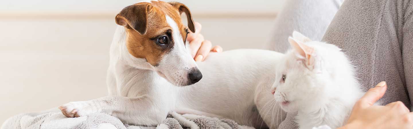 1. Top banner på forsiden 1140x449