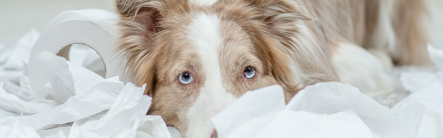 Er uhellet allerede ute?