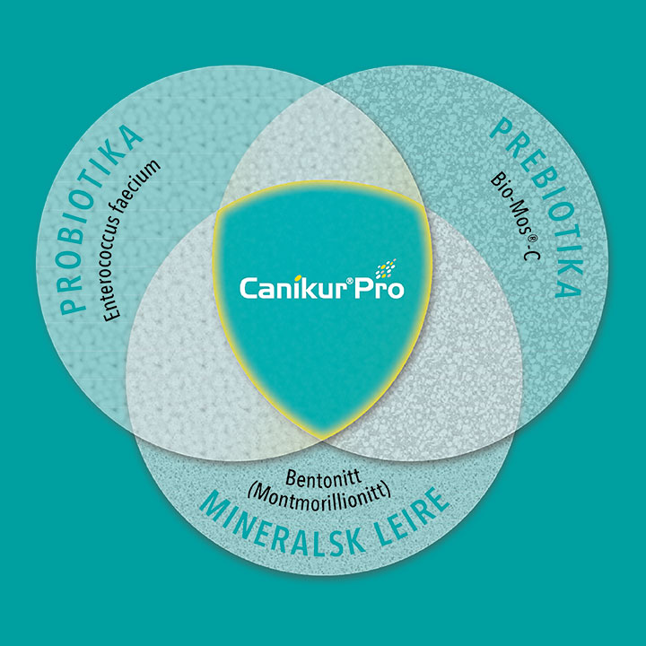 Tredobbelt kombinasjon